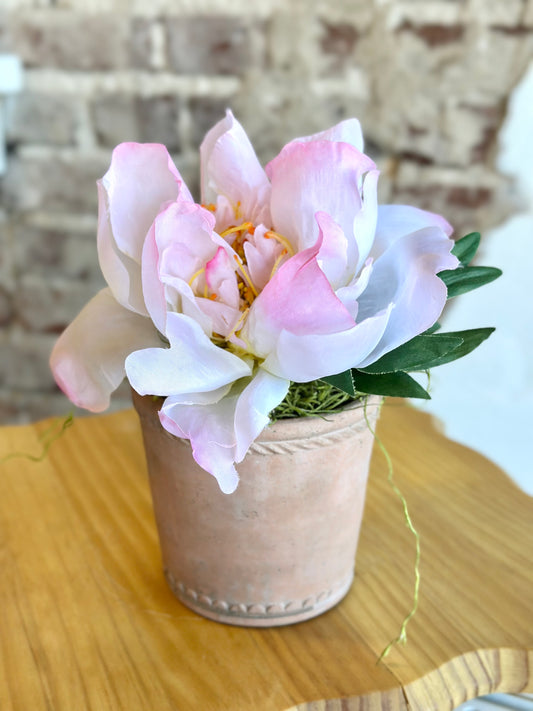 Peony in Terracotta