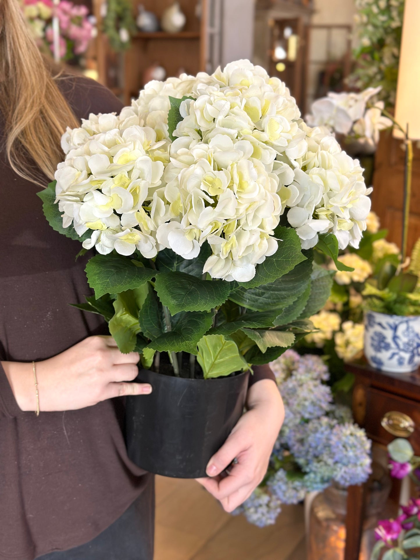 22" Potted Garden Hydrangea