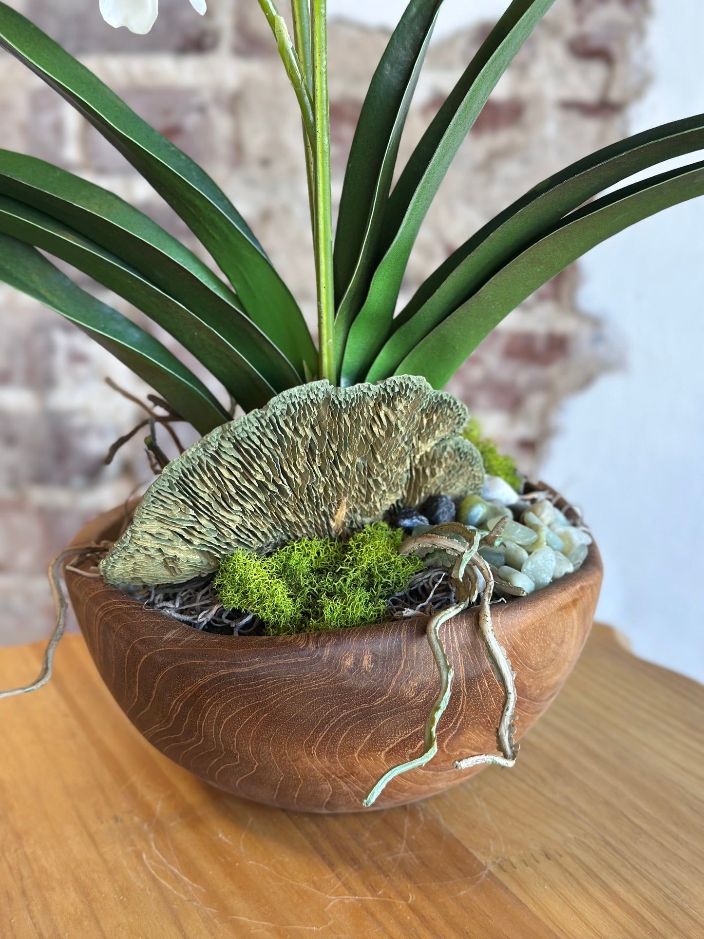 Orchid in Hand Carved Bowl - White