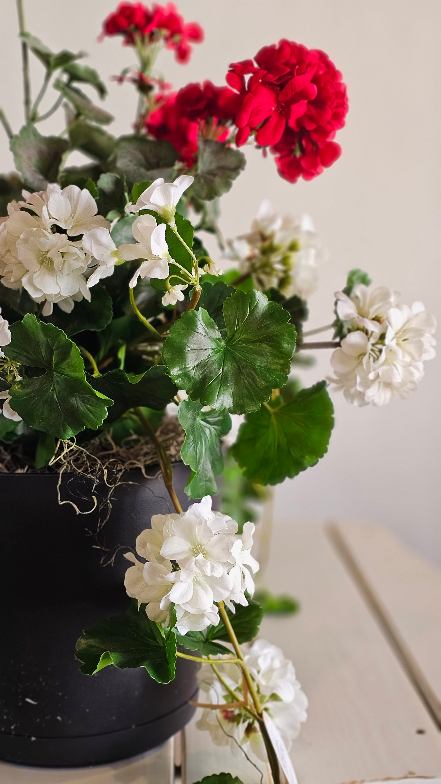 Summer Geranium Pot Filler