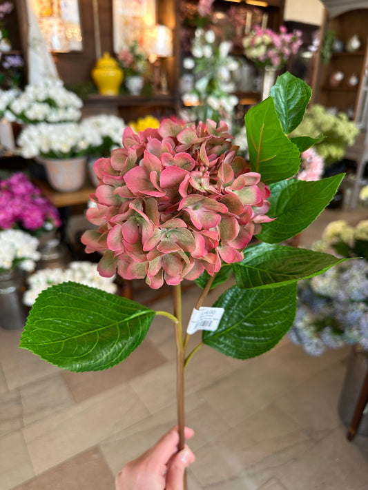 23" Just Cut New Growth Hydrangea