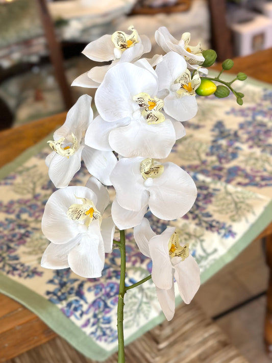 34" Natural Touch White Orchid