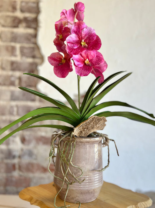 Hot Pink Orchid and Foliage