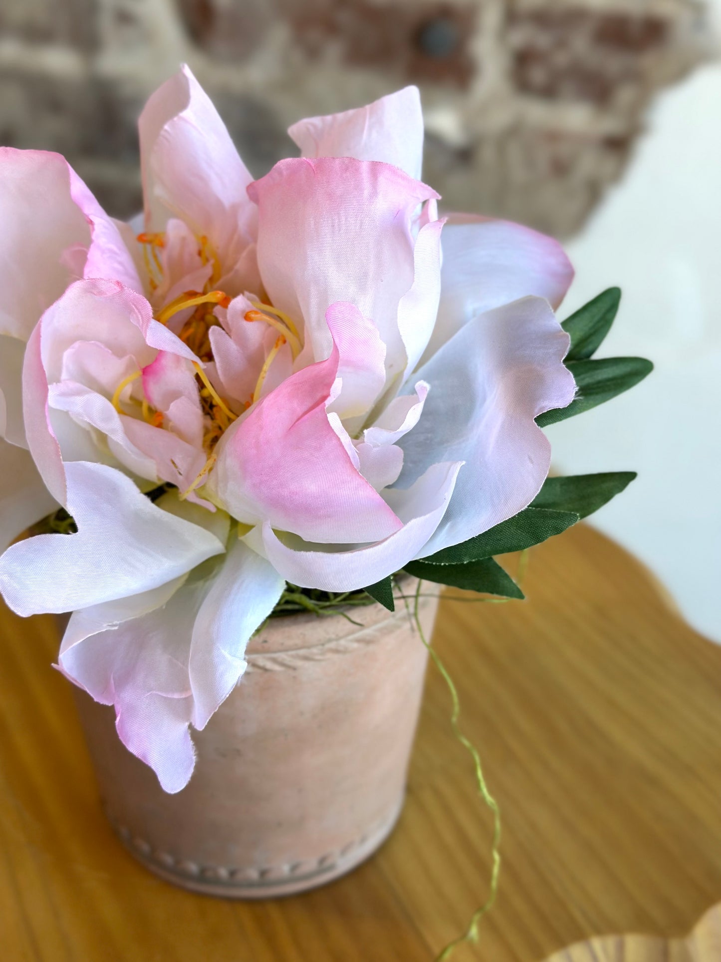 Peony in Terracotta