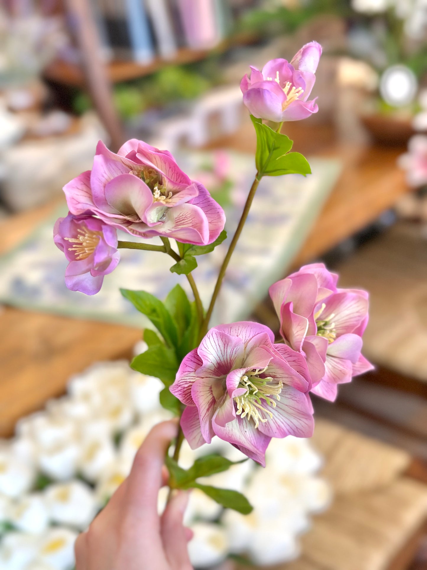 24" Just Cut Helleborus w/Bud