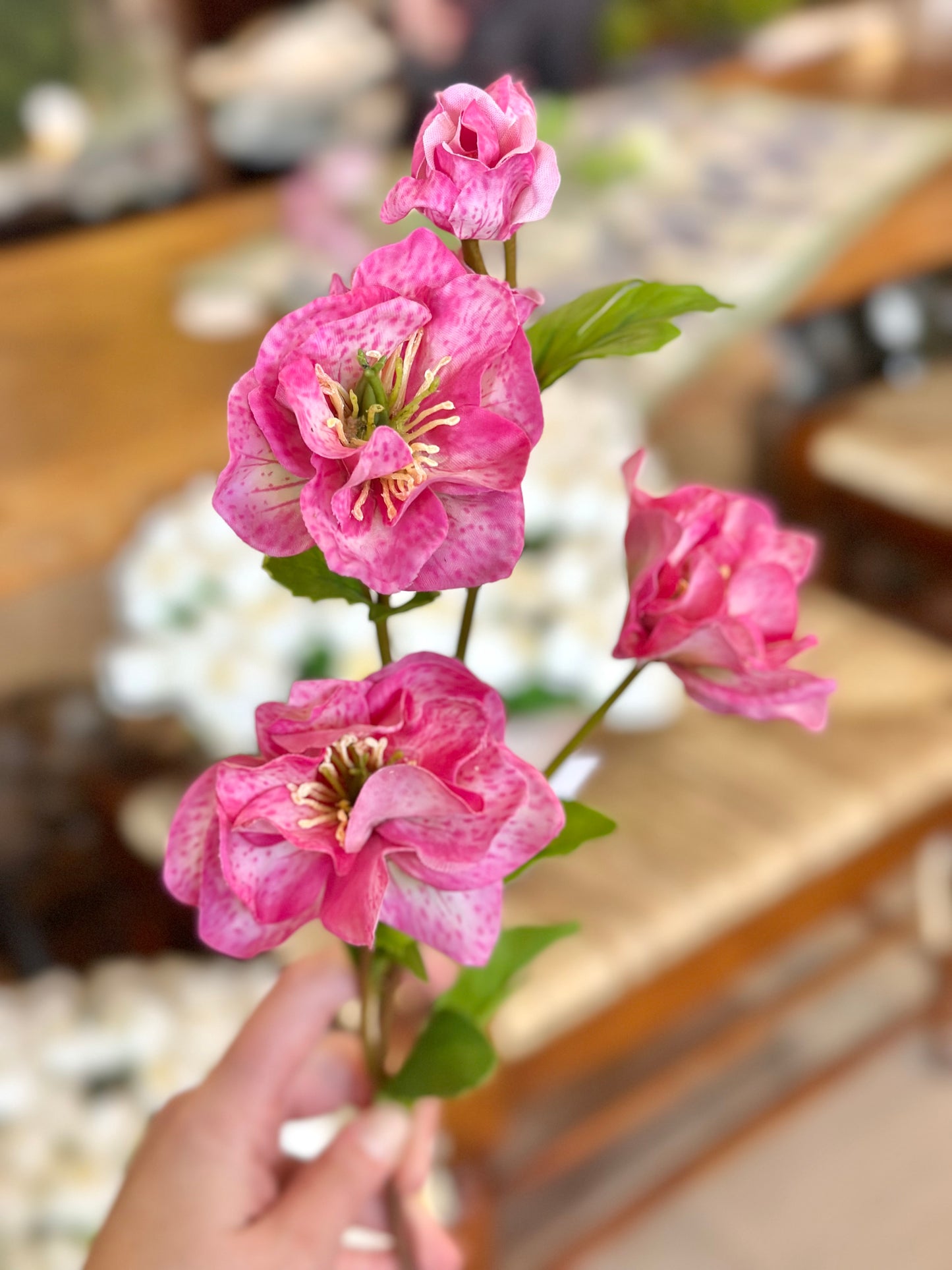 24" Just Cut Helleborus w/Bud