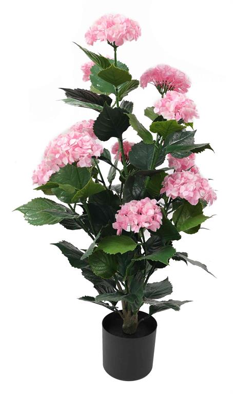 Pink Hydrangea Bush in Pot