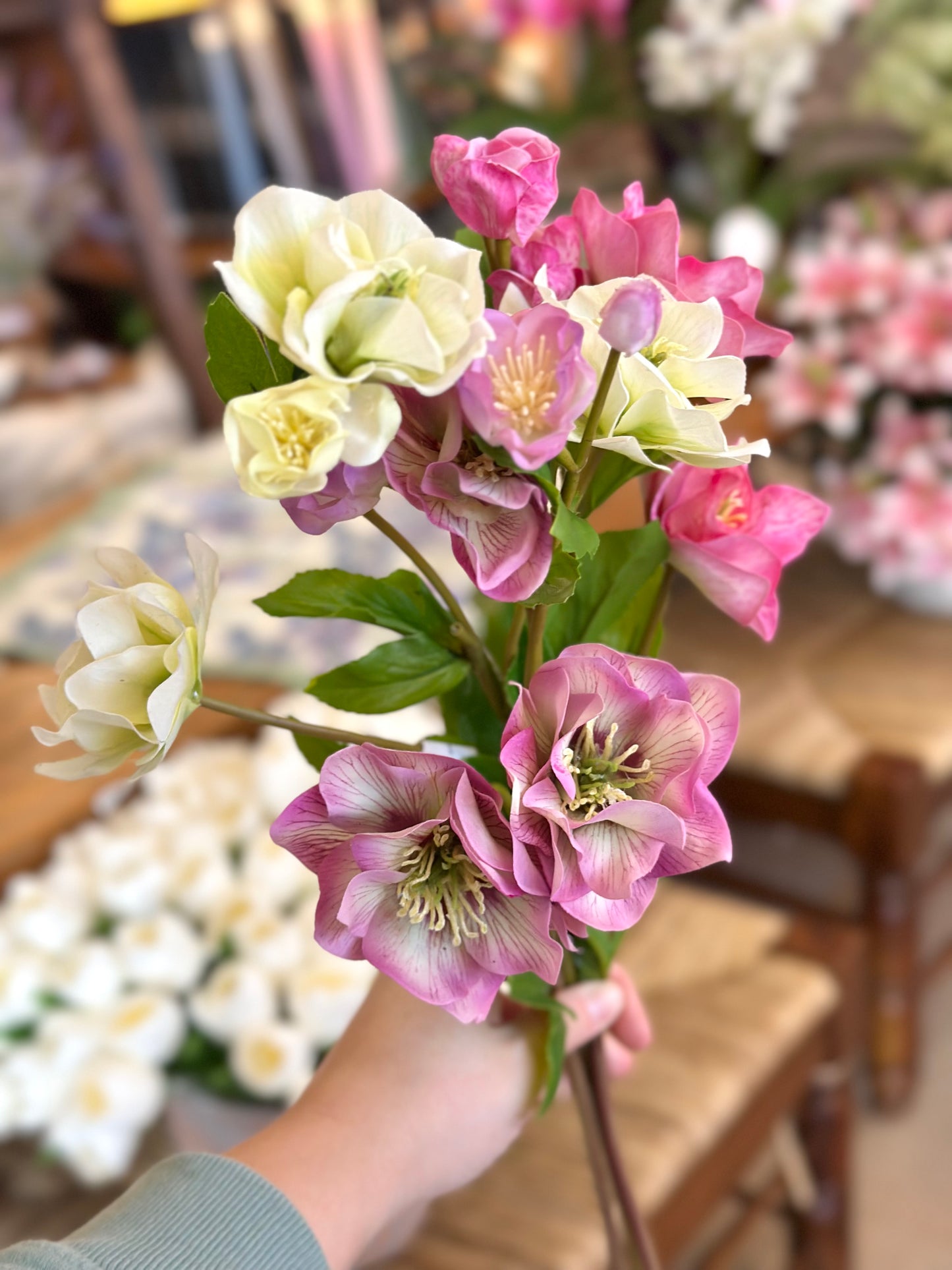 24" Just Cut Helleborus w/Bud