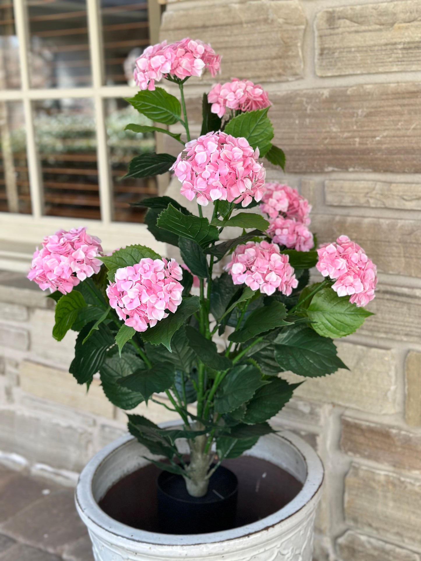 Pink Hydrangea Bush in Pot