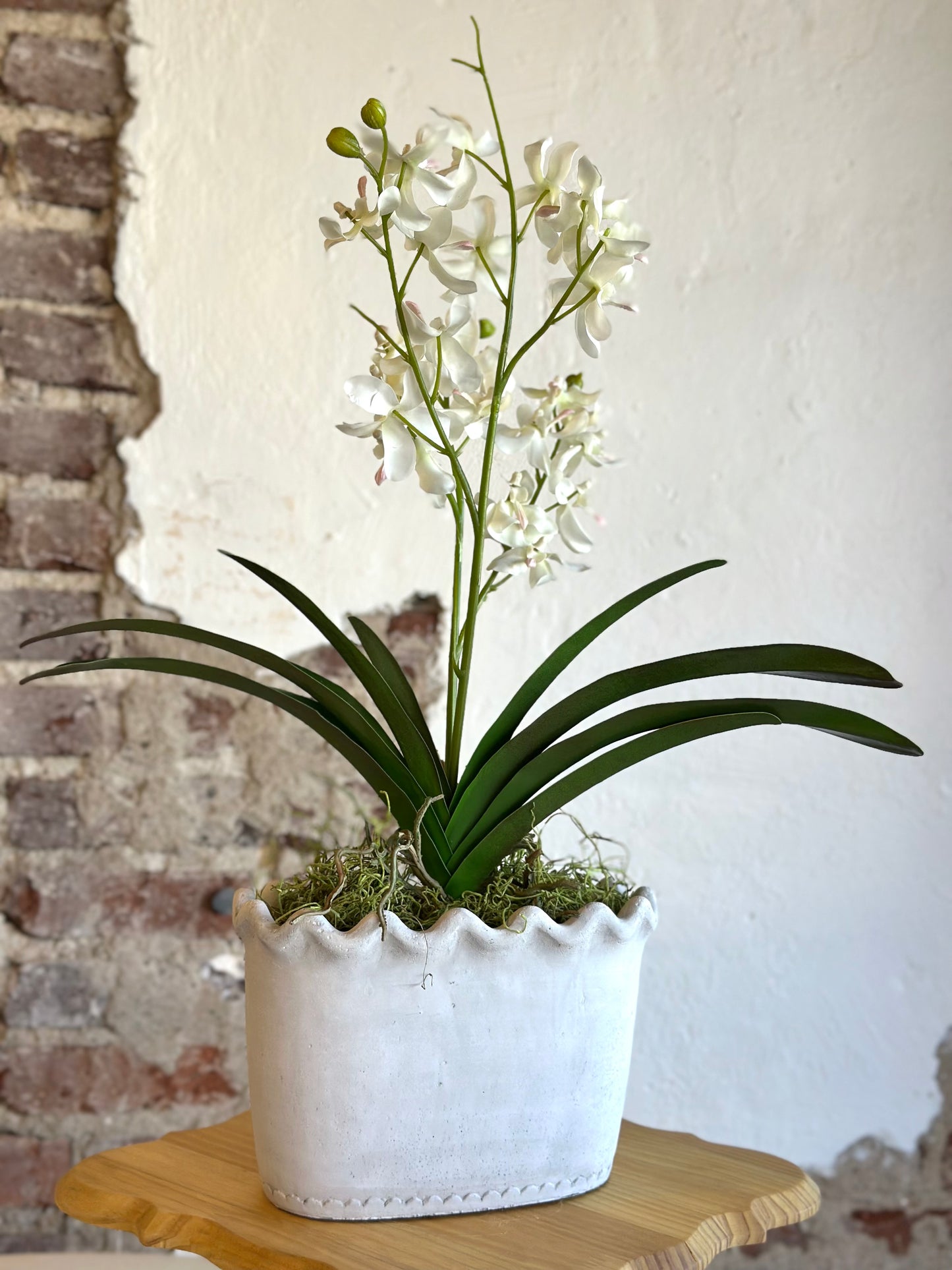 White Orchid & Foliage