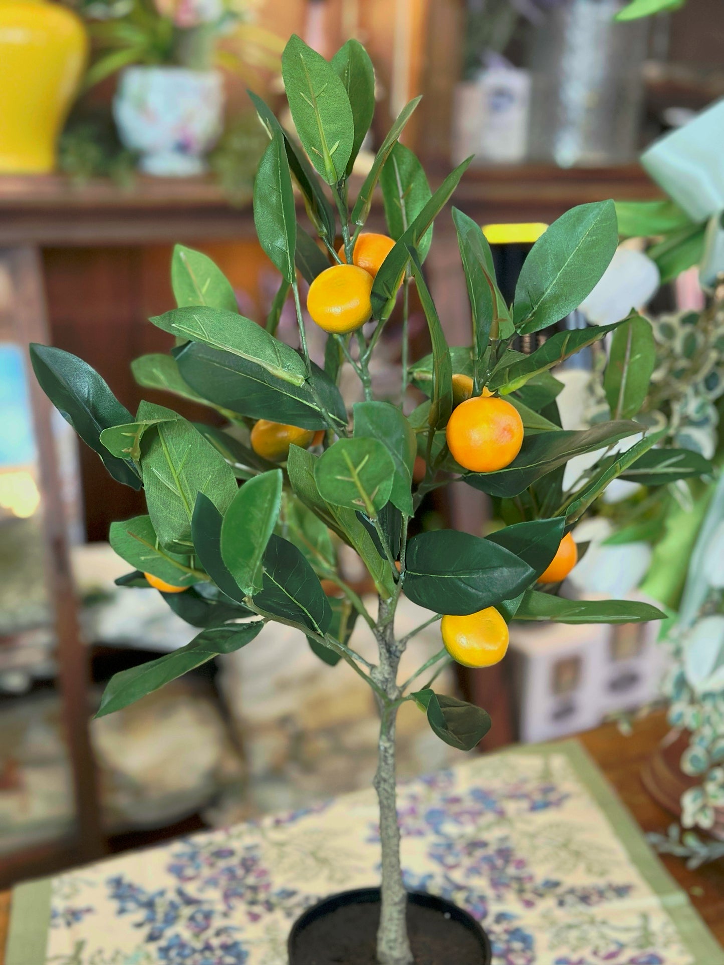 Orange Tree