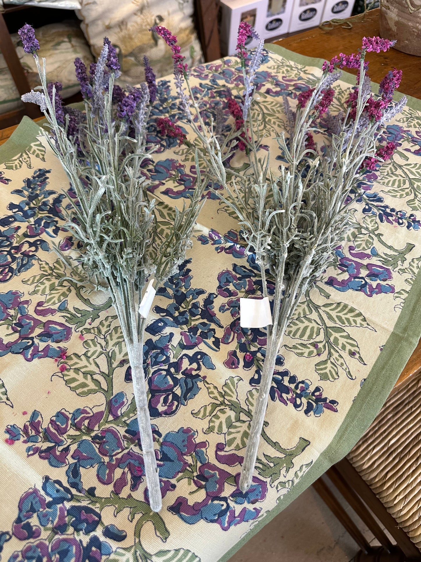 22" English Lavender Bush