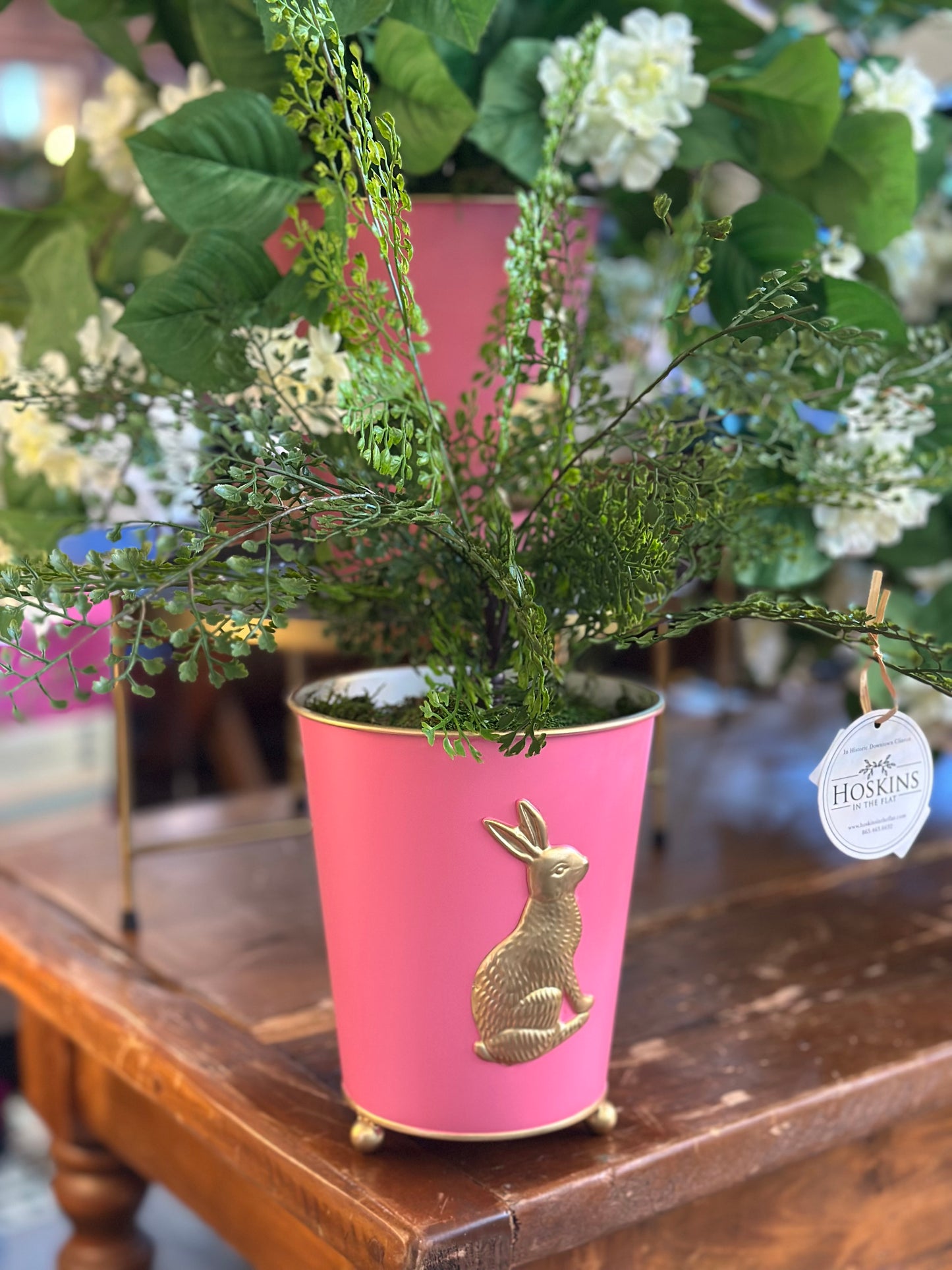 Maidenhair Potted Fern