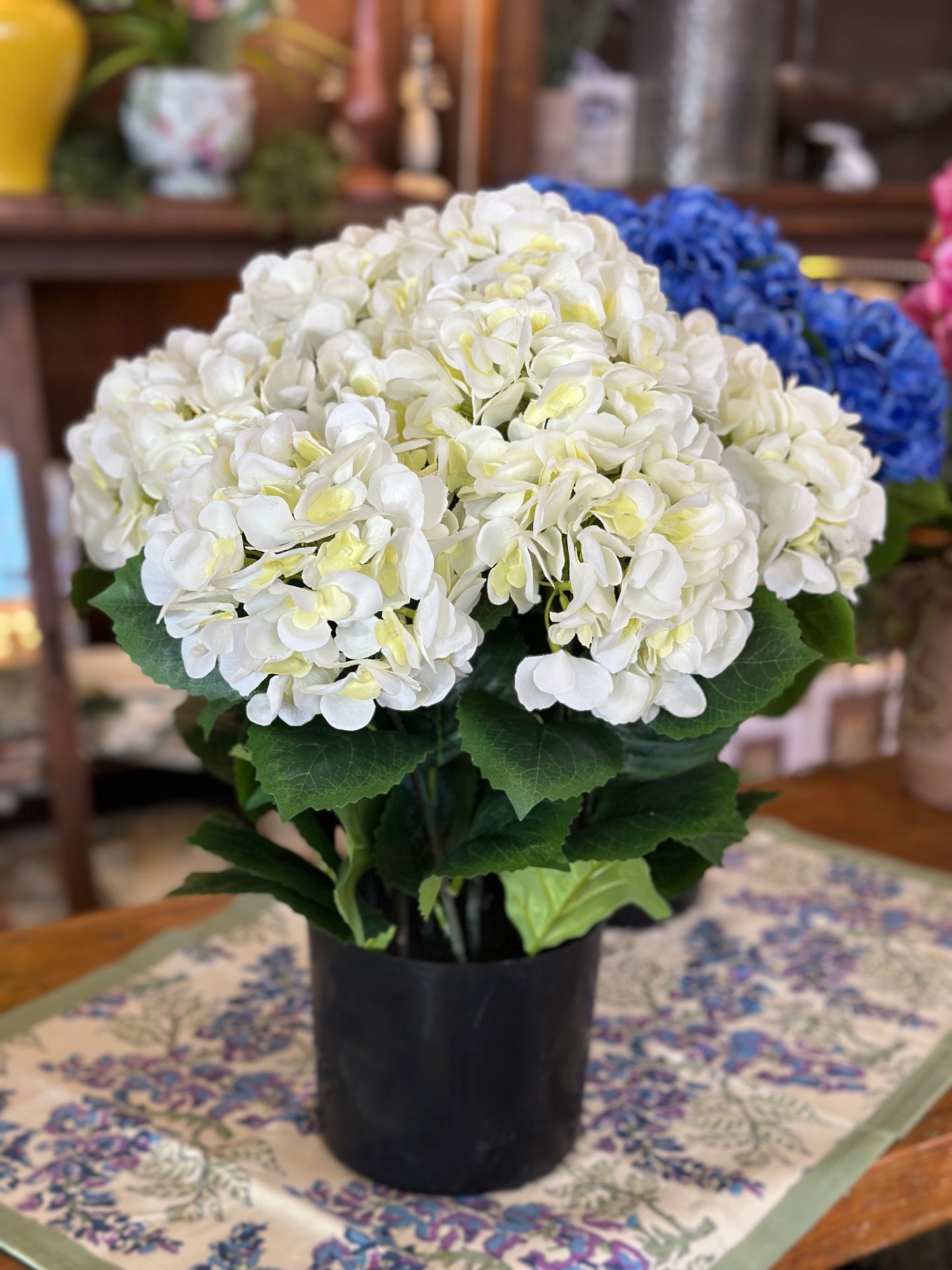 22" Potted Garden Hydrangea