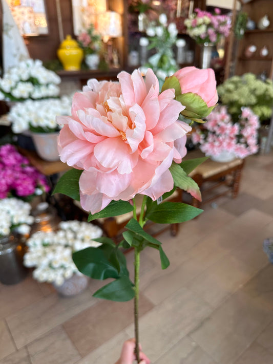 26" Garden Peony & Bud - Blush Pink