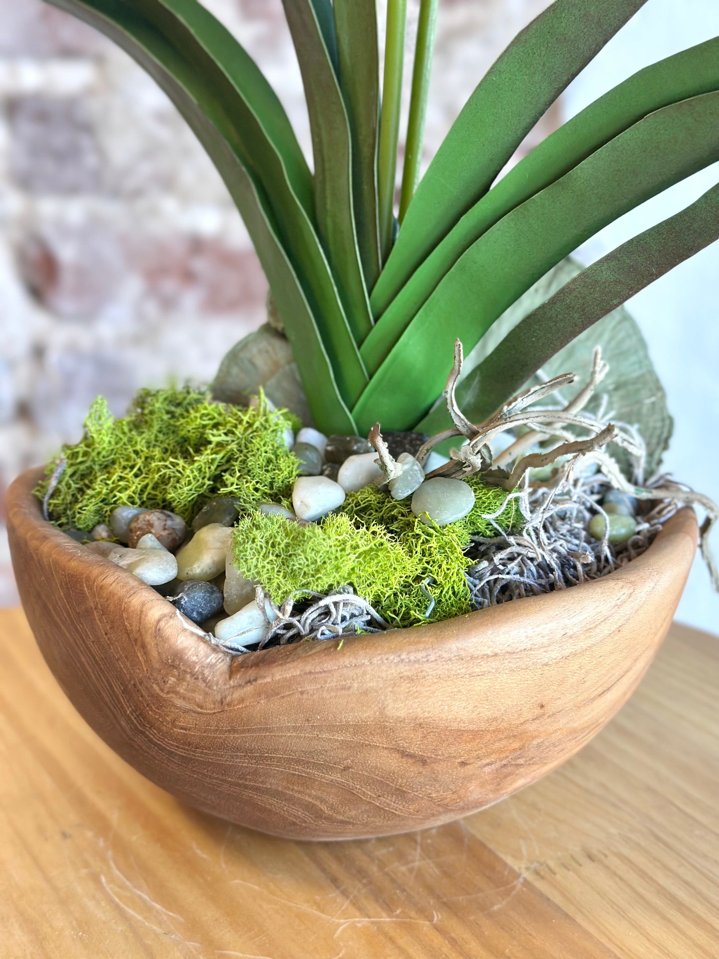 Orchid in Hand Carved Bowl - White