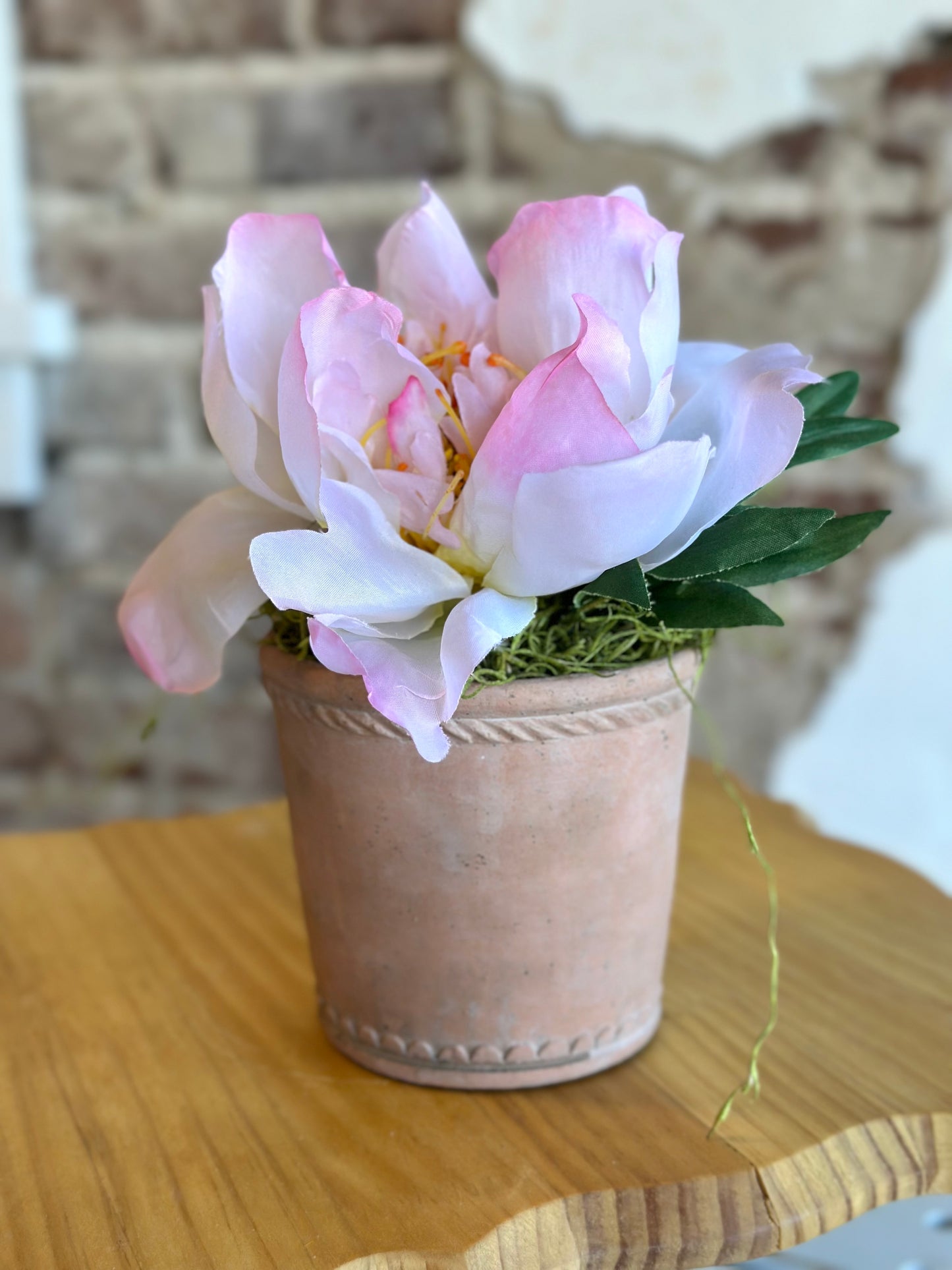 Peony in Terracotta