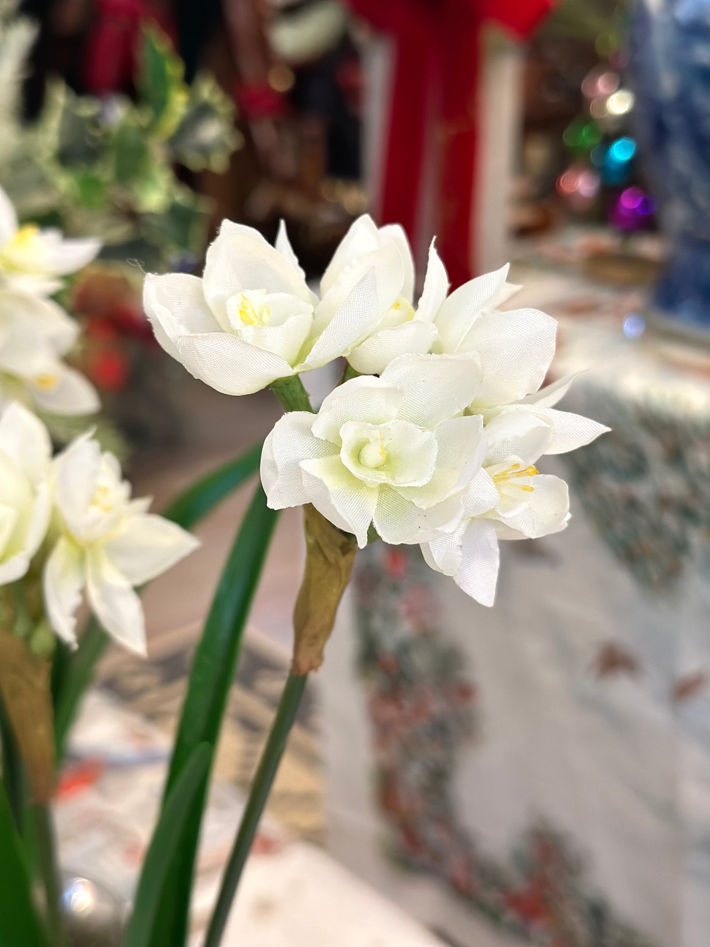 Mercury Glass with Paperwhites