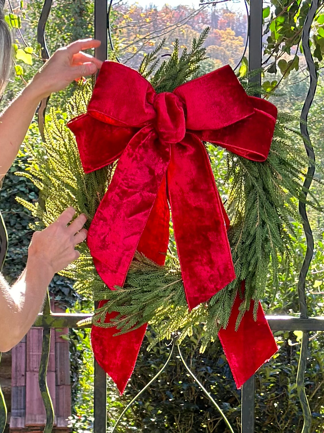 Austrian Pine Wreath with Red Velvet Bow