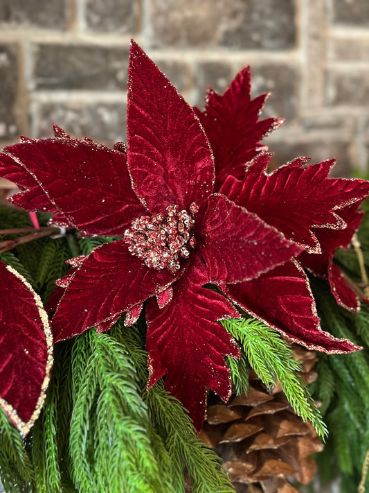 20" Velvet Gold Glitter Poinsettia Stem