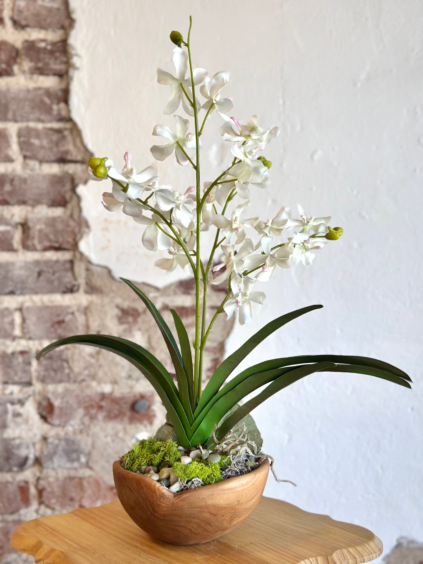 Orchid in Hand Carved Bowl - White