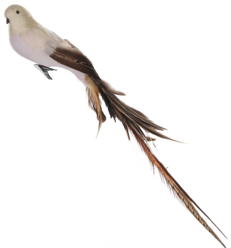 Feather Bird Beige Brown Tail