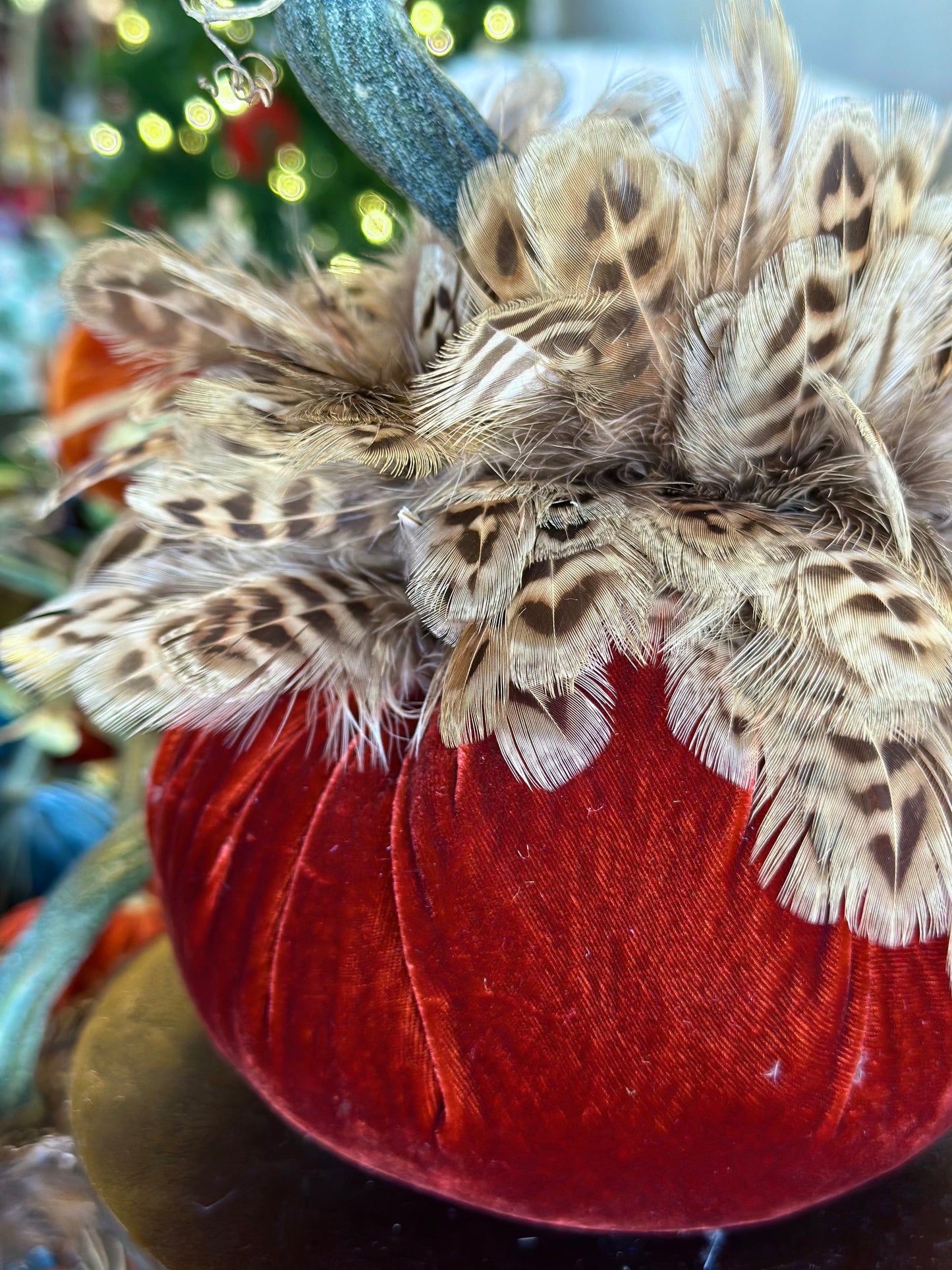 6” Burgundy Velvet Pumpkin with Feather Collar