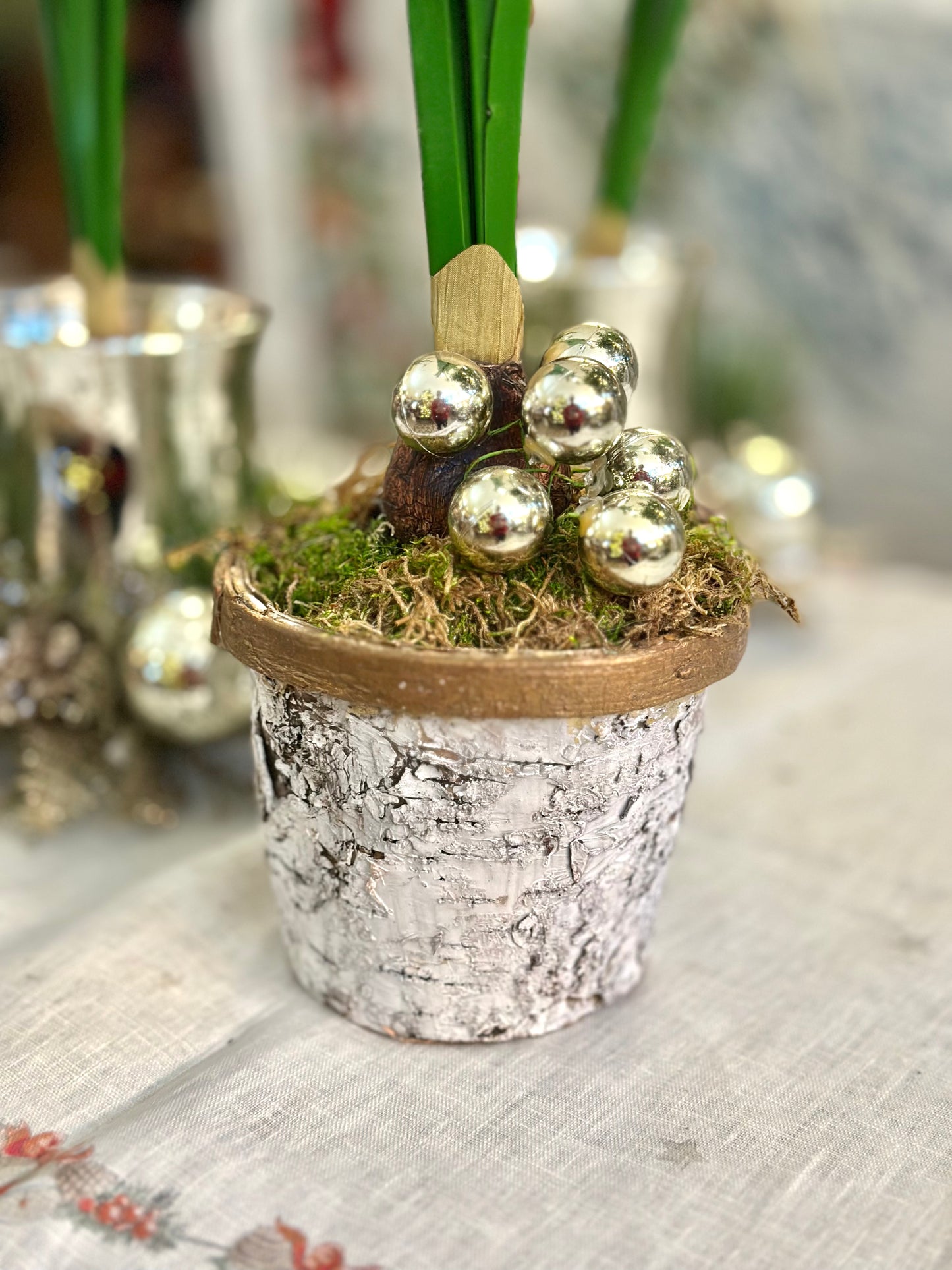 Paperwhites in Birchbark Container