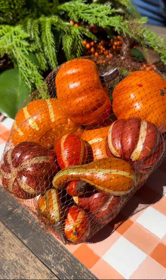 Mixed Harvest Pumpkins & Gourds- Bag of 12