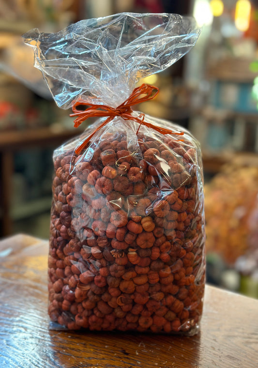 Dried Orange Putka Pods