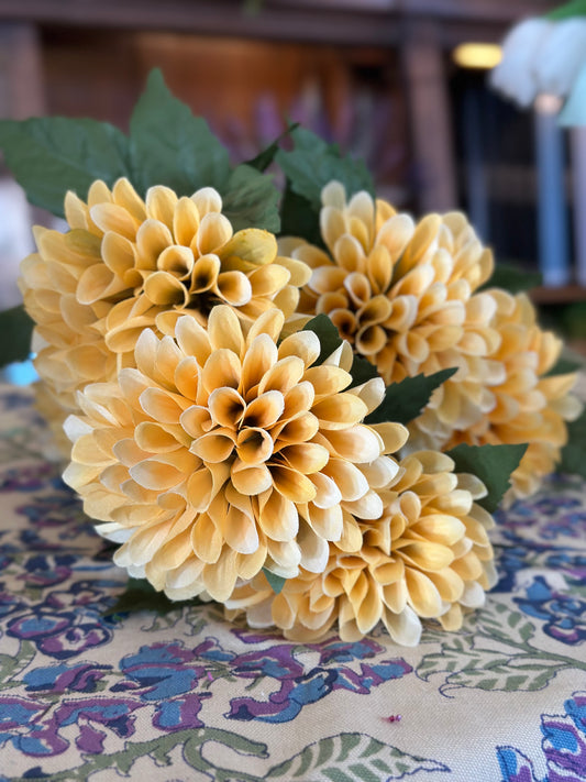 25" Dahlias Marigold Yellow