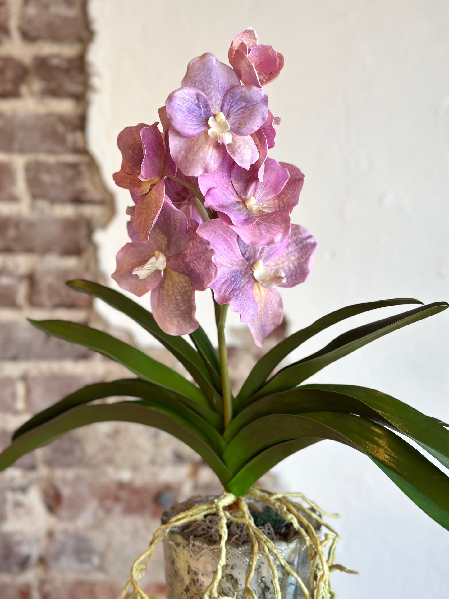 Lilac Orchid with Foliage