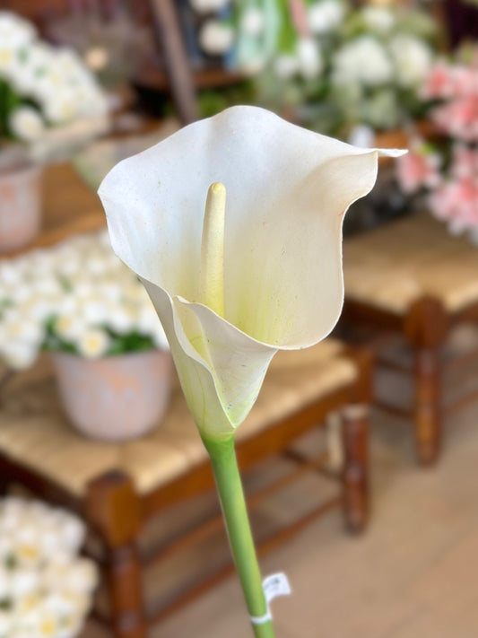 33” Natural Touch Calla Lily