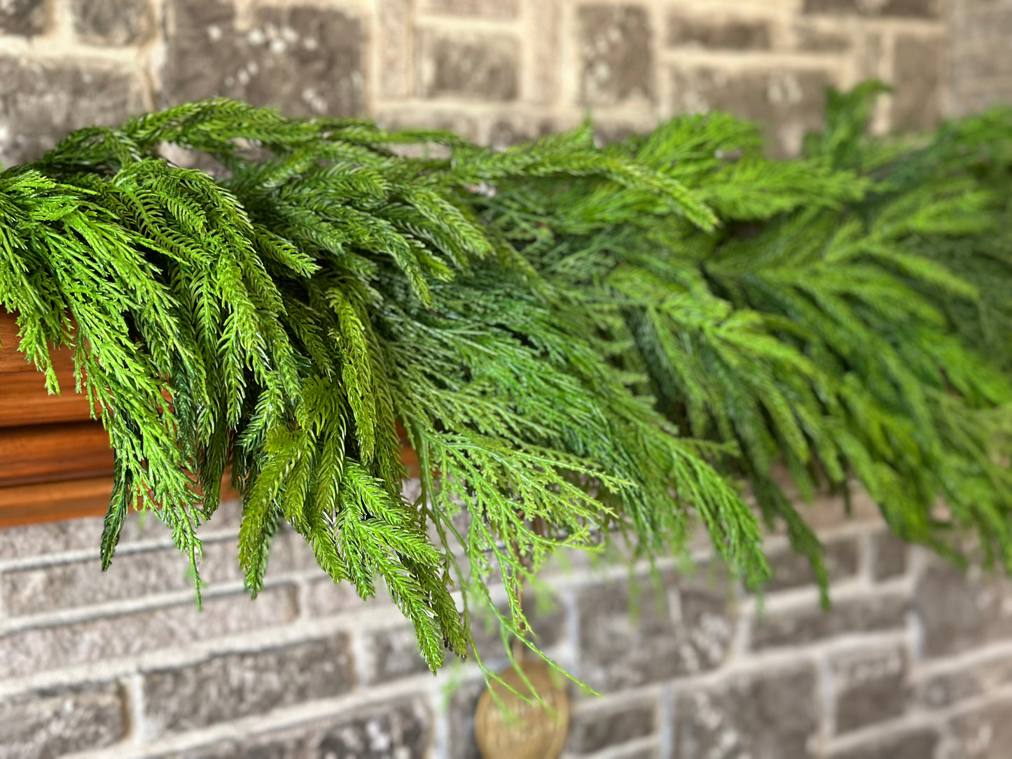 48” Cyprus/Norfolk Pine Garland