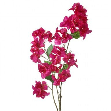 BOUGAINVILLEA BRANCH 41"