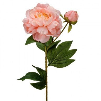 26" Garden Peony & Bud- Blush Pink