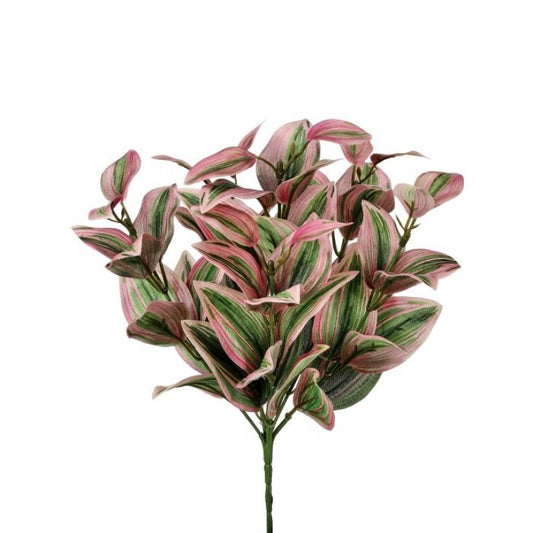 12’’ Tradescantia Plant- Green/Pink