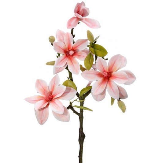 23" Coral Magnolia Branch + Bud