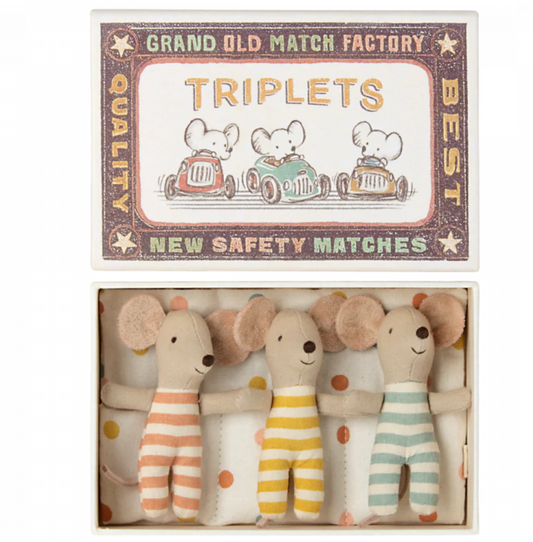 Triplets, Baby Mice In Box