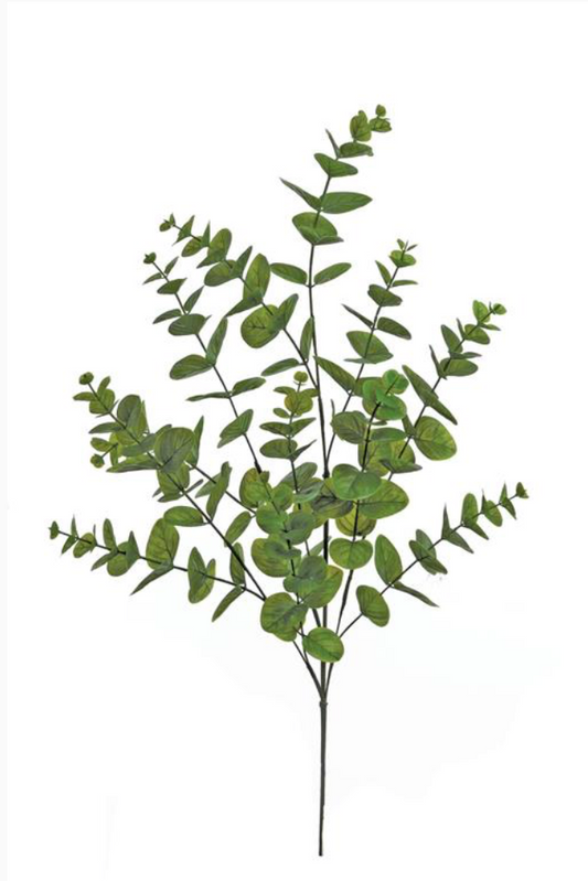 34" Eucalyptus Spray