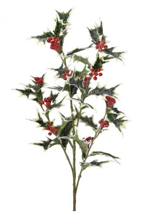 36" Frosted Holly Berry Stem