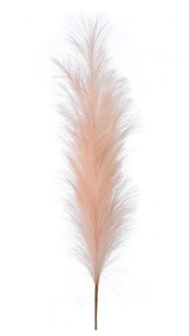 40" Blush Pampas Plume