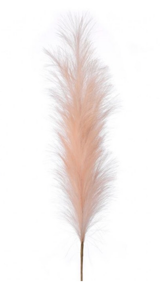 40" Blush Pampas Plume