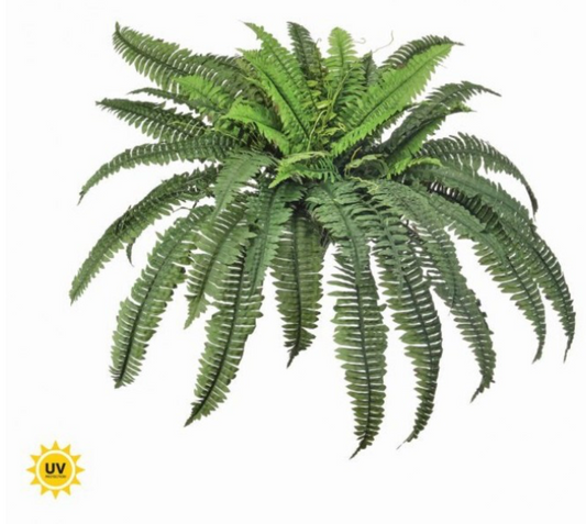 38" UV-Rated Estate Boston Fern