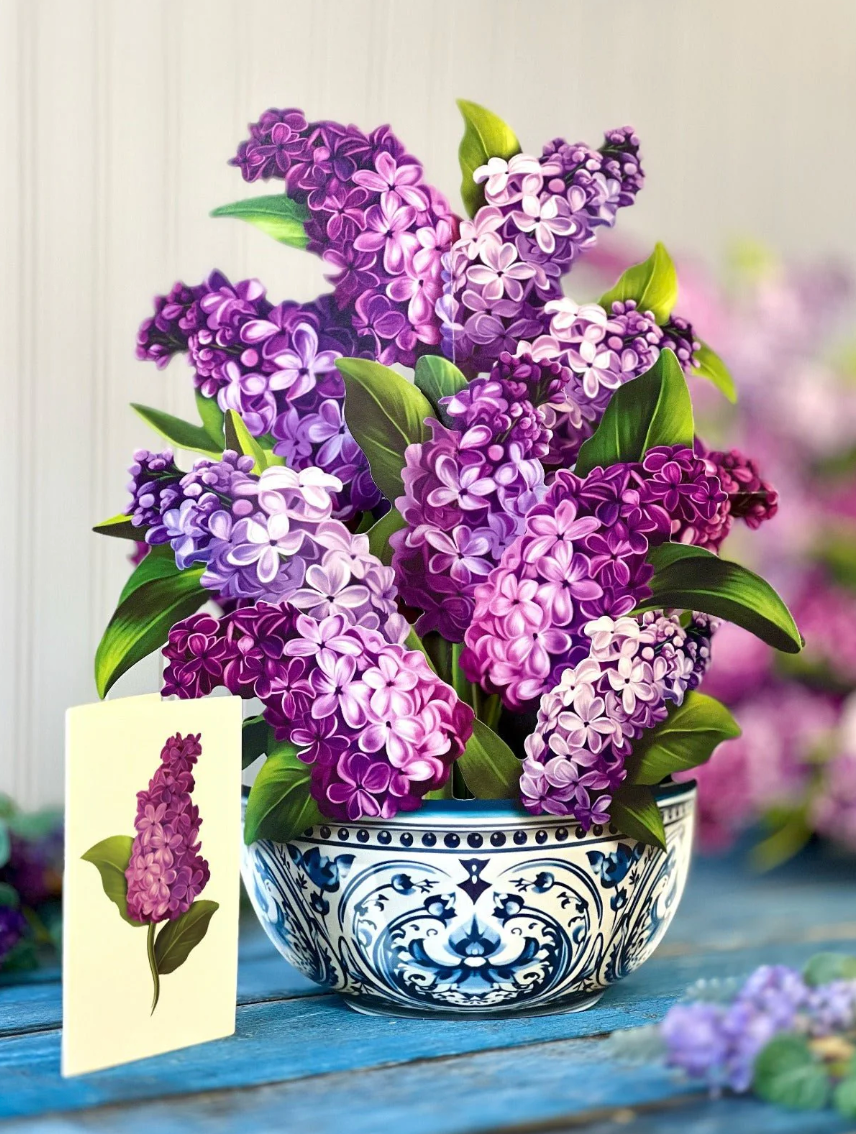 Garden Lilacs Pop-up Card