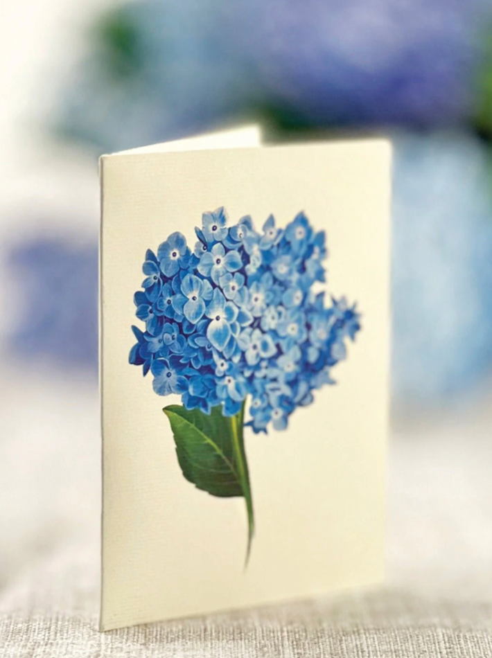 Nantucket Hydrangeas Pop-up Greeting Card