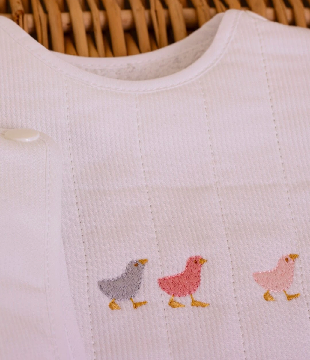 Family of Ducklings Baby Bib