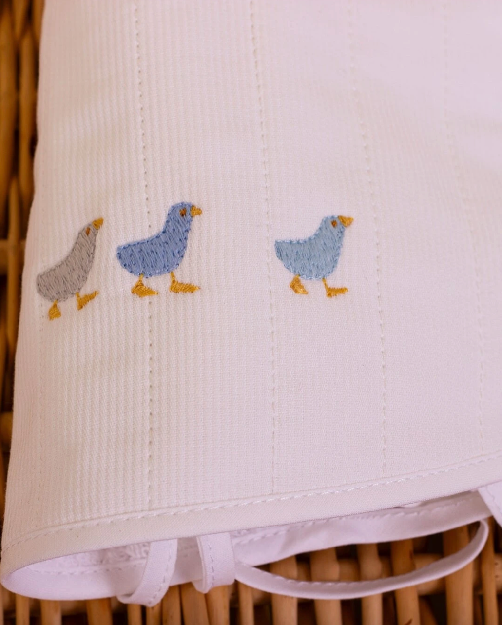 Family of Ducklings Baby Bib