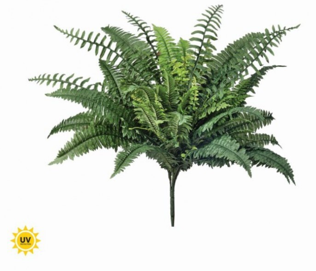 32" UV Estate Upright Boston Fern