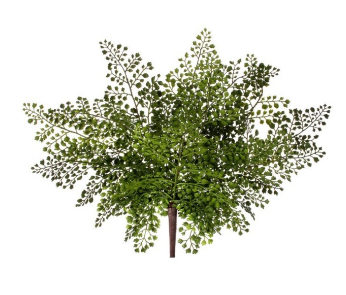 17" Natural Touch Maidenhair Plant